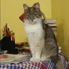 Отзыв от Арина Грекова